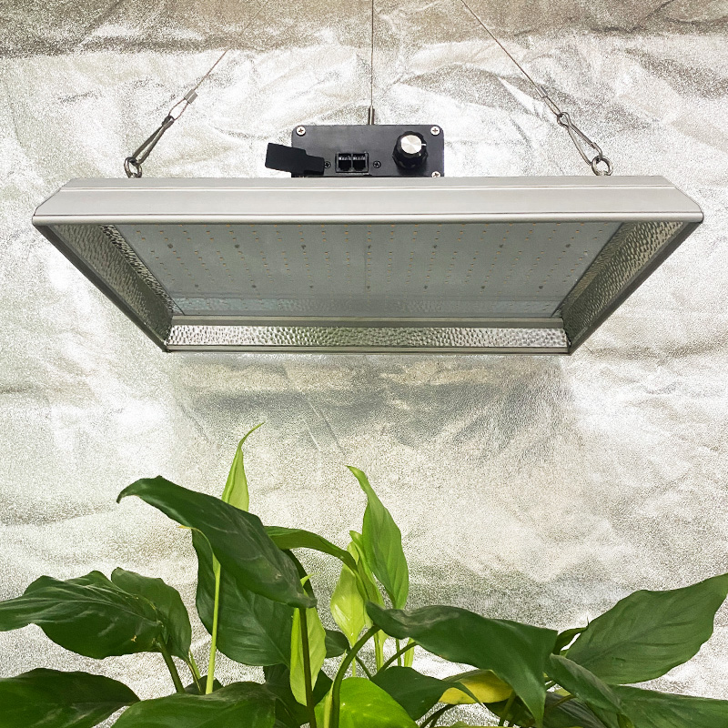 Hydroponic 100w Lux lucis ducitur ad Chillies